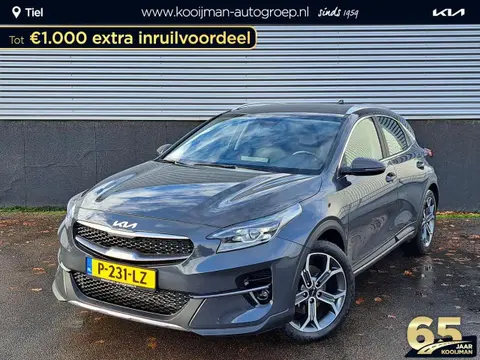 Used KIA XCEED Petrol 2022 Ad 