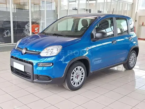 Used FIAT PANDA Hybrid 2024 Ad 