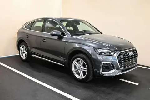 Used AUDI Q5 Hybrid 2023 Ad 