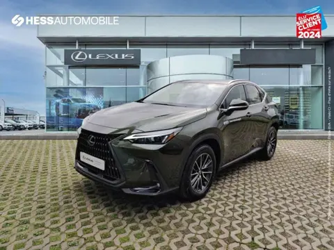 Annonce LEXUS NX  2023 d'occasion 