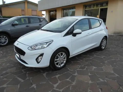 Used FORD FIESTA Diesel 2019 Ad 