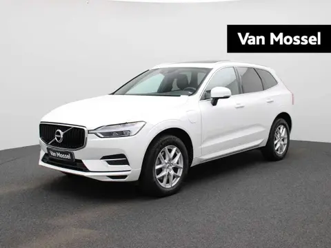 Annonce VOLVO XC60 Hybride 2019 d'occasion 