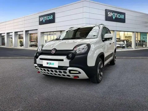 Used FIAT PANDA Petrol 2024 Ad 