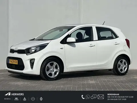 Used KIA PICANTO Petrol 2022 Ad 