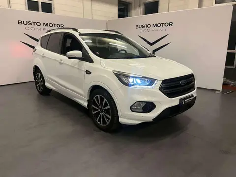 Used FORD KUGA Diesel 2019 Ad 