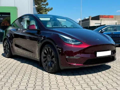 Used TESLA MODEL Y Electric 2023 Ad 