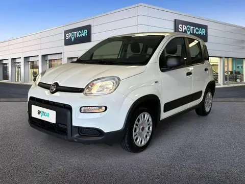 Annonce FIAT PANDA Essence 2022 d'occasion 