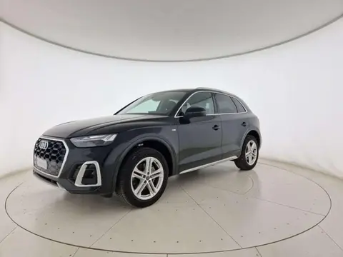 Used AUDI Q5 Not specified 2023 Ad 