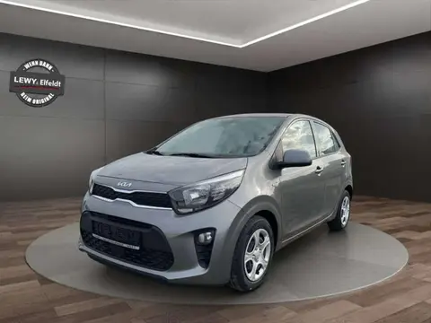 Used KIA PICANTO Petrol 2024 Ad 