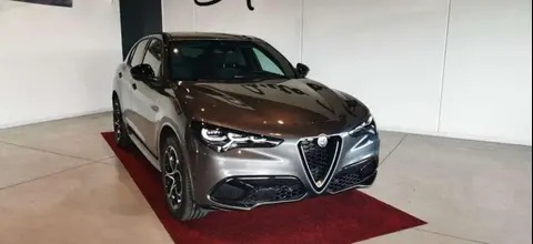 Used ALFA ROMEO STELVIO Diesel 2023 Ad 