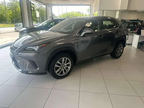 Annonce LEXUS NX Hybride 2019 d'occasion 