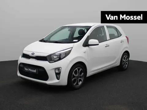 Annonce KIA PICANTO Essence 2021 d'occasion 