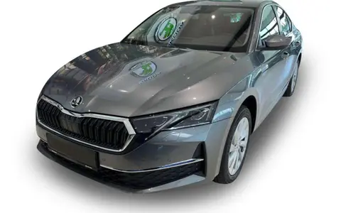 Used SKODA OCTAVIA Petrol 2024 Ad 