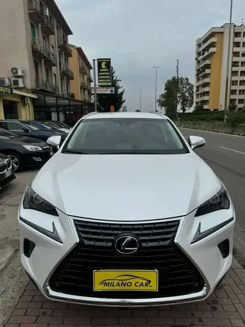 Used LEXUS NX Hybrid 2019 Ad 