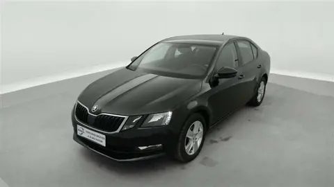 Used SKODA OCTAVIA Diesel 2020 Ad 