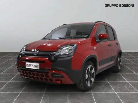 Annonce FIAT PANDA Hybride 2023 d'occasion 