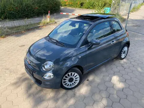 Used FIAT 500 Petrol 2020 Ad 