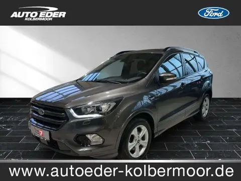 Used FORD KUGA Diesel 2019 Ad 