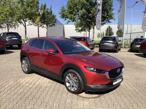 Annonce MAZDA CX-30 Essence 2020 d'occasion 