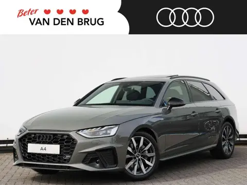 Used AUDI A4 Petrol 2024 Ad 