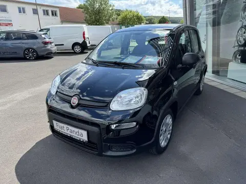 Annonce FIAT PANDA Essence 2024 d'occasion 