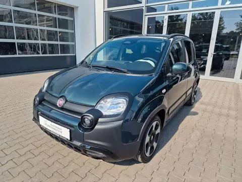 Annonce FIAT PANDA Essence 2024 d'occasion 