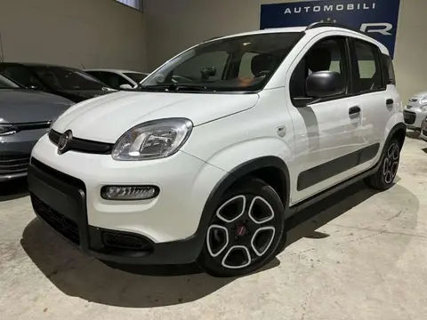 Annonce FIAT PANDA Hybride 2024 d'occasion 