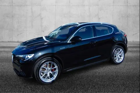 Annonce ALFA ROMEO STELVIO Diesel 2022 d'occasion 