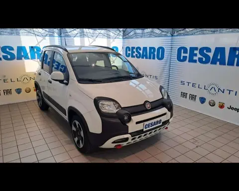 Used FIAT PANDA Hybrid 2023 Ad 