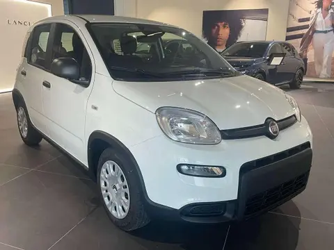 Used FIAT PANDA Hybrid 2024 Ad 