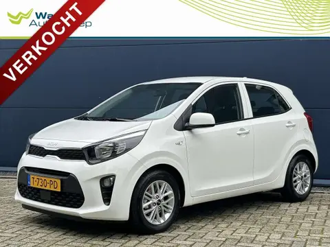 Used KIA PICANTO Petrol 2023 Ad 