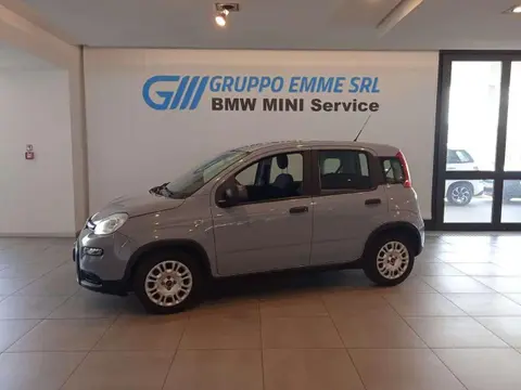 Annonce FIAT PANDA Hybride 2022 d'occasion 