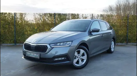 Used SKODA OCTAVIA Petrol 2024 Ad 