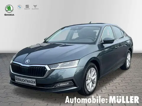 Used SKODA OCTAVIA Diesel 2021 Ad 