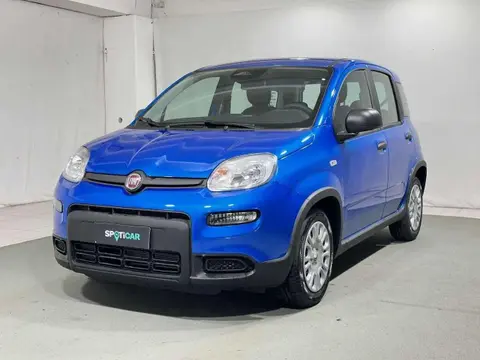 Used FIAT PANDA Hybrid 2024 Ad 