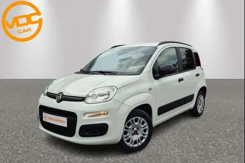 Used FIAT PANDA Petrol 2018 Ad 