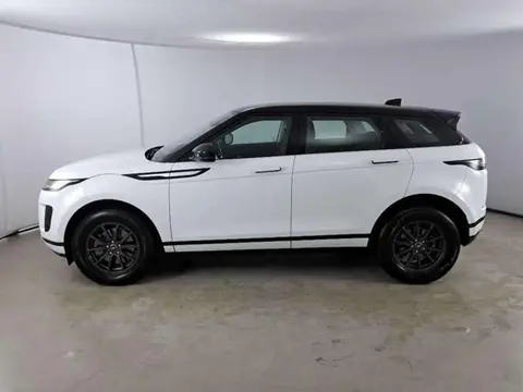 Used LAND ROVER RANGE ROVER EVOQUE Hybrid 2019 Ad 