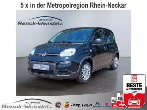 Used FIAT PANDA Hybrid 2024 Ad 