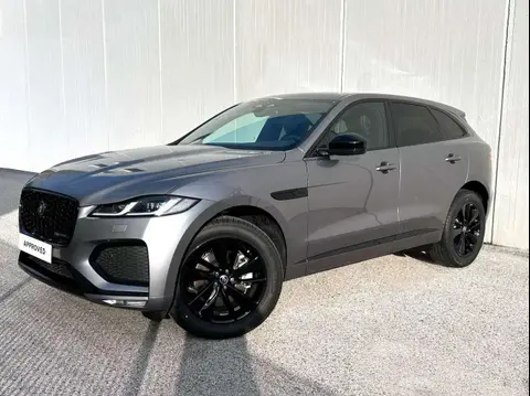 Annonce JAGUAR F-PACE Diesel 2024 d'occasion 