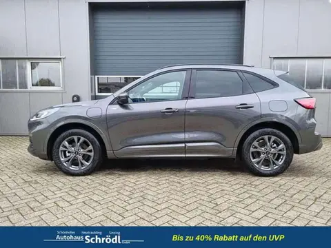 Used FORD KUGA Hybrid 2024 Ad 