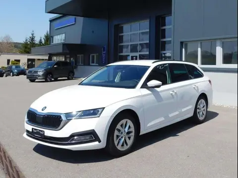 Annonce SKODA OCTAVIA Diesel 2024 d'occasion 