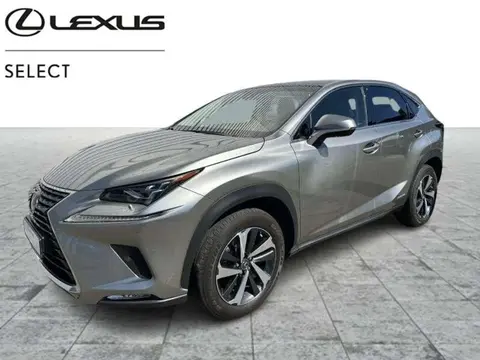 Annonce LEXUS NX Hybride 2018 d'occasion 