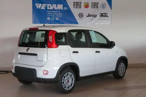 Used FIAT PANDA Petrol 2024 Ad 