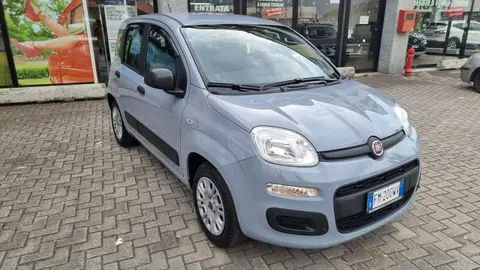 Used FIAT PANDA Petrol 2018 Ad 