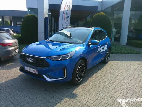 Annonce FORD KUGA Hybride 2024 d'occasion 