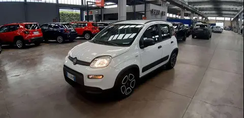 Used FIAT PANDA Hybrid 2022 Ad 