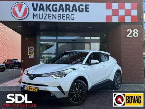 Used TOYOTA C-HR Hybrid 2019 Ad 