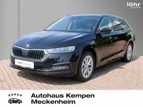 Used SKODA OCTAVIA Petrol 2023 Ad 