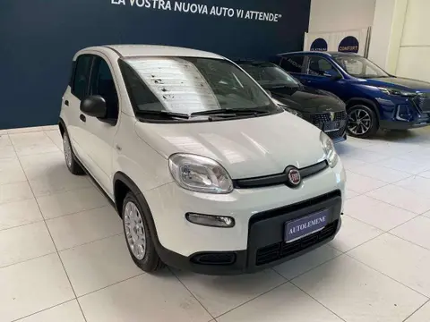 Used FIAT PANDA Hybrid 2024 Ad 