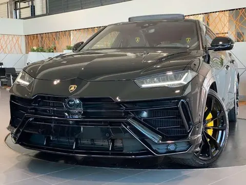 Used LAMBORGHINI URUS Petrol 2024 Ad 